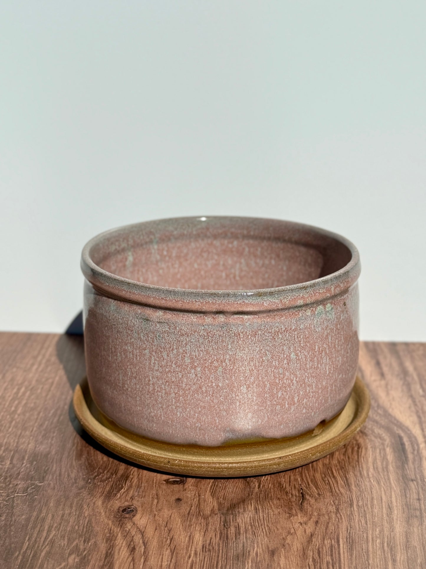 Medium Multi-Colored Pink Planter